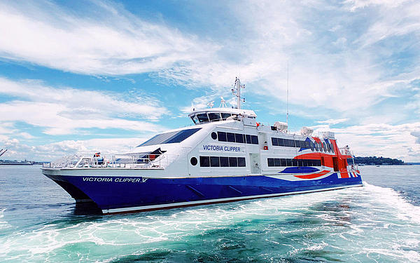 Portside of the HSC Victoria Clipper V.